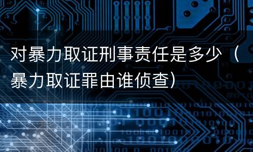 对暴力取证刑事责任是多少（暴力取证罪由谁侦查）