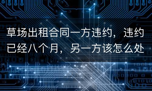 草场出租合同一方违约，违约已经八个月，另一方该怎么处理，有权要回草场吗