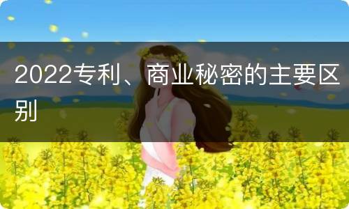 2022专利、商业秘密的主要区别