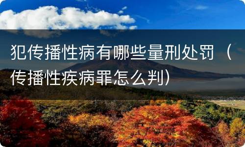 犯传播性病有哪些量刑处罚（传播性疾病罪怎么判）