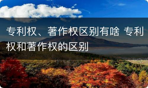 专利权、著作权区别有啥 专利权和著作权的区别