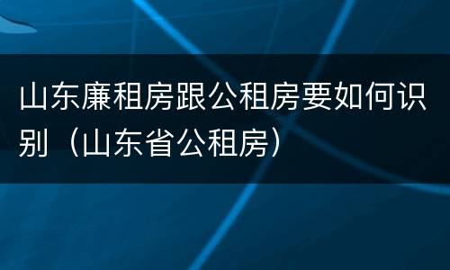 山东廉租房跟公租房要如何识别（山东省公租房）