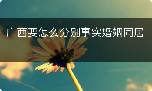 广西要怎么分别事实婚姻同居