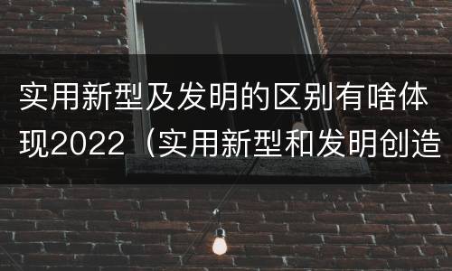 实用新型及发明的区别有啥体现2022（实用新型和发明创造）