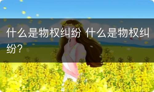 什么是物权纠纷 什么是物权纠纷?