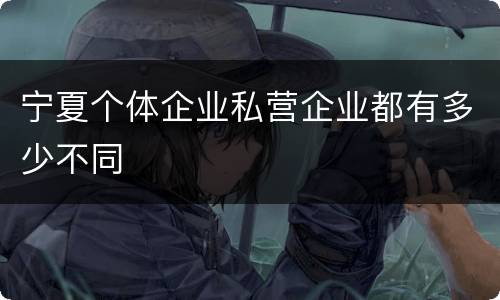 宁夏个体企业私营企业都有多少不同