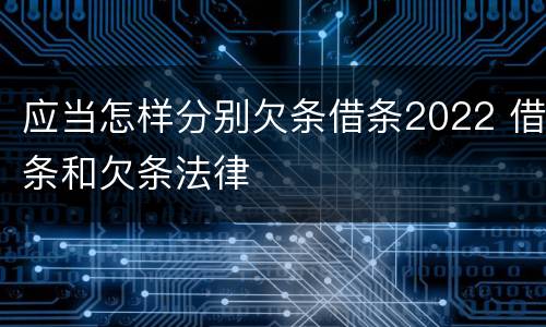 应当怎样分别欠条借条2022 借条和欠条法律