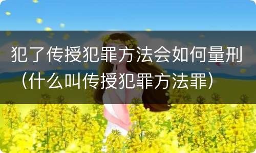 犯了传授犯罪方法会如何量刑（什么叫传授犯罪方法罪）