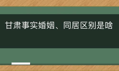 甘肃事实婚姻、同居区别是啥