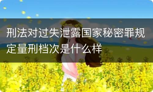 刑法对过失泄露国家秘密罪规定量刑档次是什么样