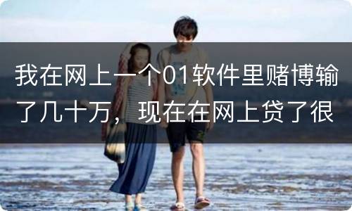 我在网上一个01软件里赌博输了几十万，现在在网上贷了很多网贷，还不起了，怎么办