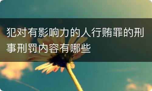 犯对有影响力的人行贿罪的刑事刑罚内容有哪些