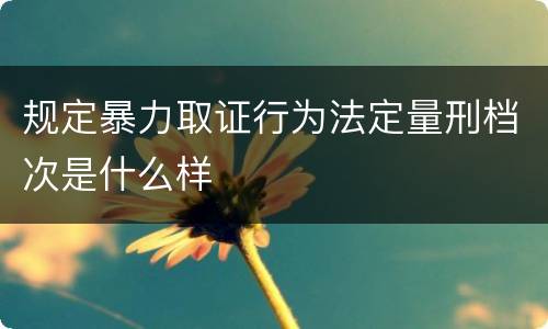 规定暴力取证行为法定量刑档次是什么样