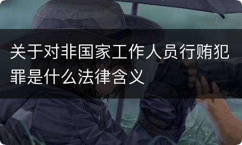 关于对非国家工作人员行贿犯罪是什么法律含义