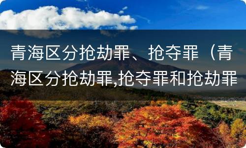 青海区分抢劫罪、抢夺罪（青海区分抢劫罪,抢夺罪和抢劫罪）