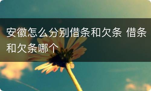 安徽怎么分别借条和欠条 借条和欠条哪个