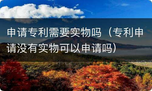 申请专利需要实物吗（专利申请没有实物可以申请吗）