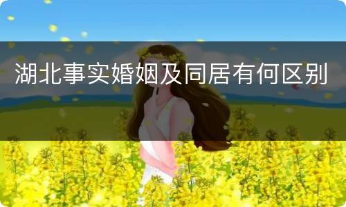 湖北事实婚姻及同居有何区别