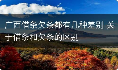 广西借条欠条都有几种差别 关于借条和欠条的区别