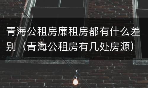 青海公租房廉租房都有什么差别（青海公租房有几处房源）
