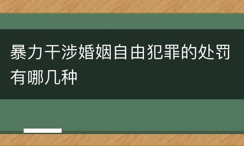 暴力干涉婚姻自由犯罪的处罚有哪几种