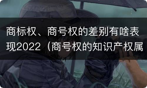 商标权、商号权的差别有啥表现2022（商号权的知识产权属性）