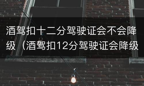 酒驾扣十二分驾驶证会不会降级（酒驾扣12分驾驶证会降级吗）
