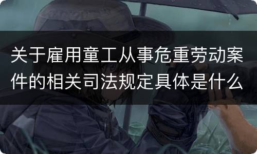 关于雇用童工从事危重劳动案件的相关司法规定具体是什么重要内容