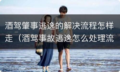 酒驾肇事逃逸的解决流程怎样走（酒驾事故逃逸怎么处理流程）