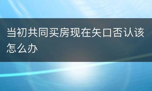 当初共同买房现在矢口否认该怎么办