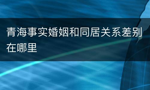 青海事实婚姻和同居关系差别在哪里