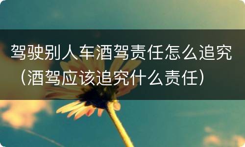 驾驶别人车酒驾责任怎么追究（酒驾应该追究什么责任）