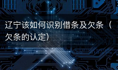 辽宁该如何识别借条及欠条（欠条的认定）