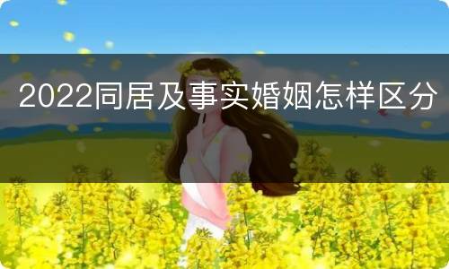 2022同居及事实婚姻怎样区分