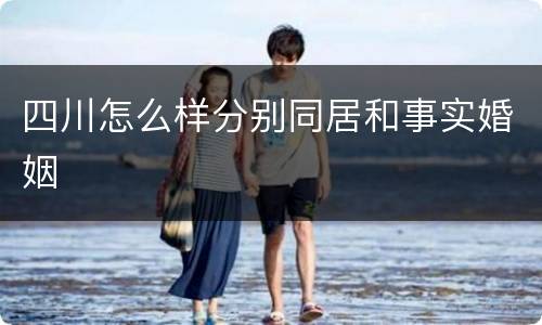 四川怎么样分别同居和事实婚姻