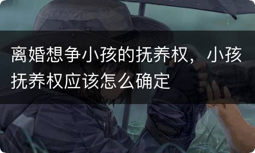 离婚想争小孩的抚养权，小孩抚养权应该怎么确定