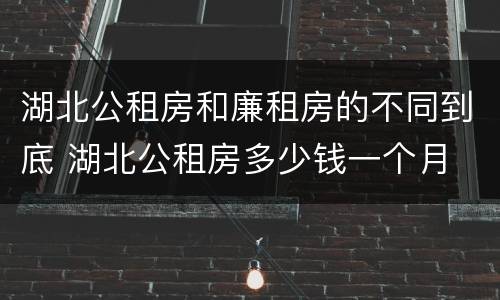 湖北公租房和廉租房的不同到底 湖北公租房多少钱一个月
