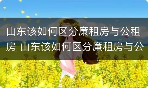 山东该如何区分廉租房与公租房 山东该如何区分廉租房与公租房呢