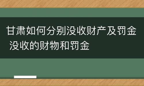 甘肃如何分别没收财产及罚金 没收的财物和罚金