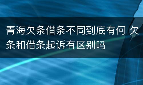 青海欠条借条不同到底有何 欠条和借条起诉有区别吗