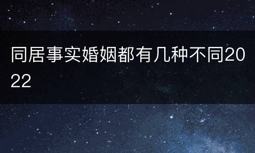 同居事实婚姻都有几种不同2022