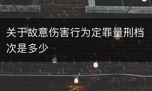 关于故意伤害行为定罪量刑档次是多少