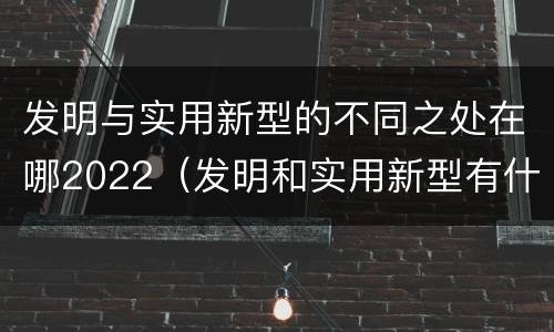 发明与实用新型的不同之处在哪2022（发明和实用新型有什么区别）