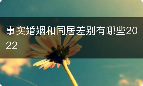 事实婚姻和同居差别有哪些2022