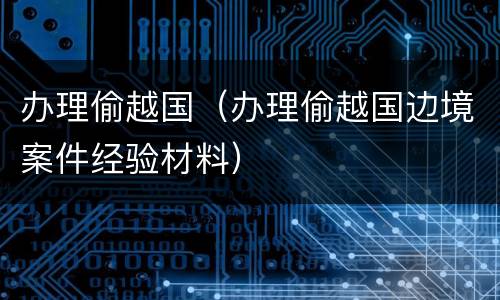 办理偷越国（办理偷越国边境案件经验材料）