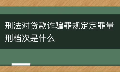 刑法对贷款诈骗罪规定定罪量刑档次是什么