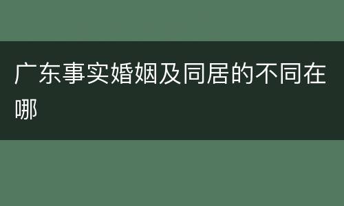 广东事实婚姻及同居的不同在哪