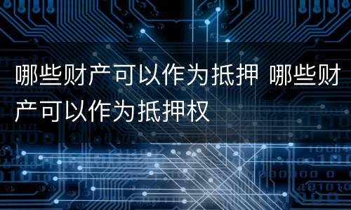 哪些财产可以作为抵押 哪些财产可以作为抵押权