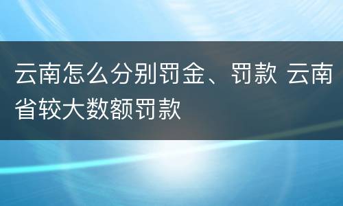 云南怎么分别罚金、罚款 云南省较大数额罚款