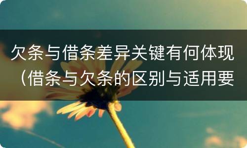 欠条与借条差异关键有何体现（借条与欠条的区别与适用要点）